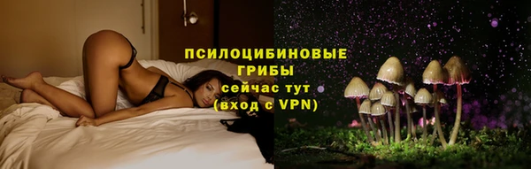 дживик Богородск
