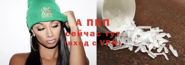молекула духа Михайлов