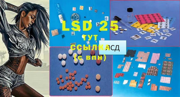 apvp Богданович
