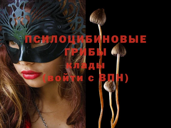 ГАЛЛЮЦИНОГЕННЫЕ ГРИБЫ Богородицк