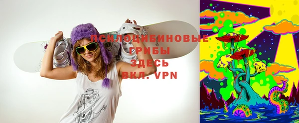 apvp Богданович