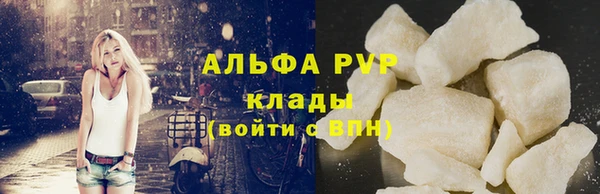 дживик Богородск