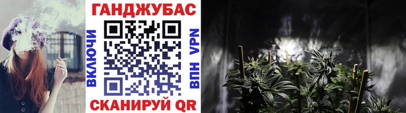 Шишки марихуана сатива  Велиж 